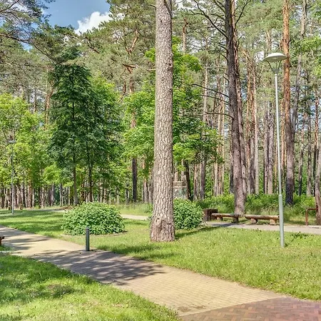 Apartment New! Pine Forest Druskininkai