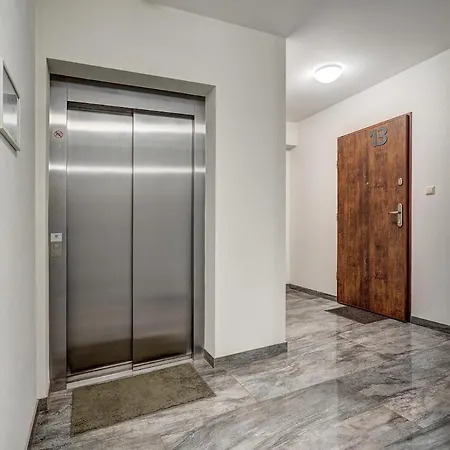 New! Pine Forest Apartment